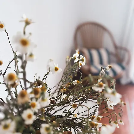 Philip's House Hébergement de vacances *